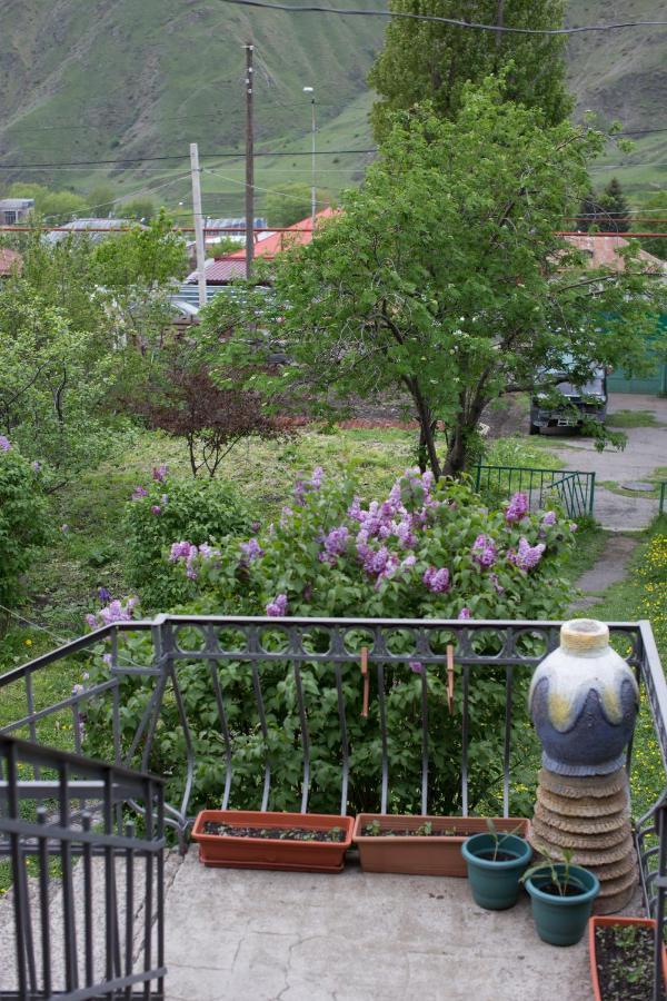 מלון Panorama Kazbegi מראה חיצוני תמונה