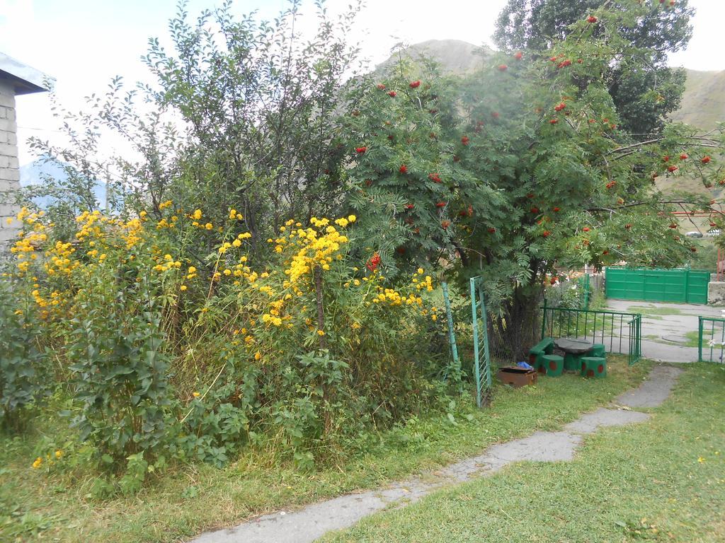 מלון Panorama Kazbegi מראה חיצוני תמונה