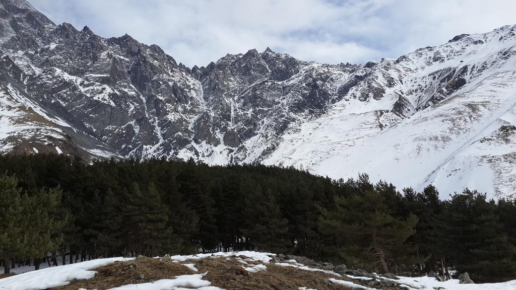 מלון Panorama Kazbegi מראה חיצוני תמונה